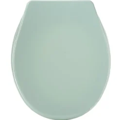 Clearance Gifi Abattant WC plastique uni vert d'eau
