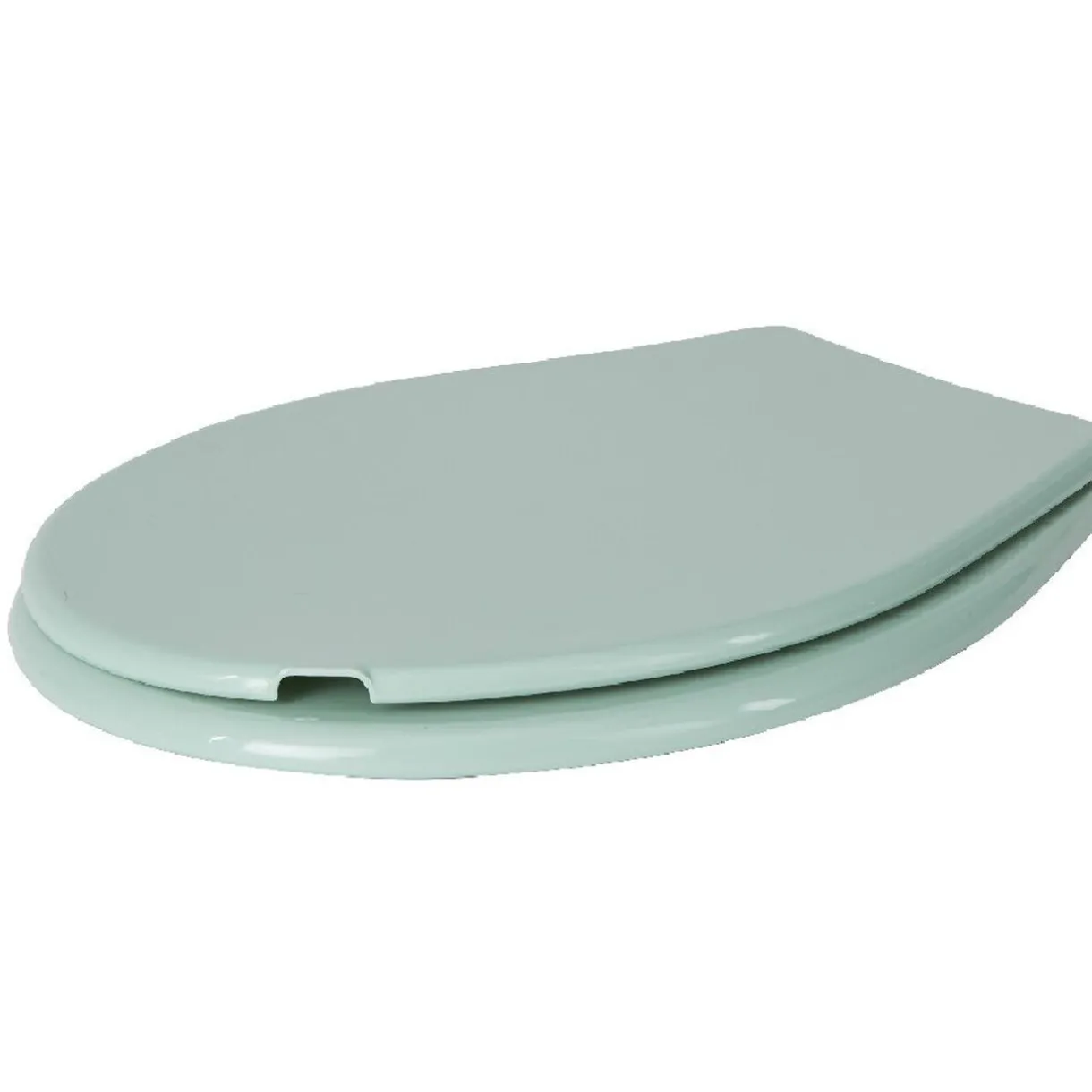 Clearance Gifi Abattant WC plastique uni vert d'eau