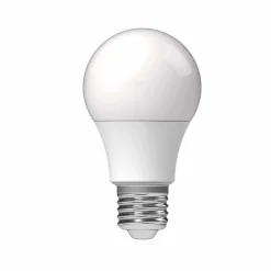 Hot Gifi Ampoule standard à LED A60 Homday blanc chaud