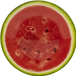 Assiette à dessert ronde imprimée pastèque^Gifi Hot