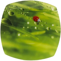 Assiette plate carrée verte design coccinelle^Gifi Sale