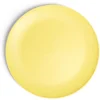 Assiette plate en plastique Ø23,5cm - 3 coloris^Gifi Best