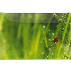 Assiette plate rectangulaire verte design coccinelle^Gifi Online