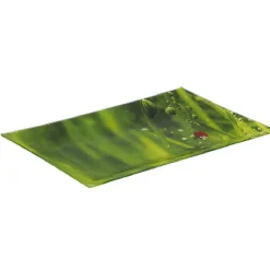 Assiette plate rectangulaire verte design coccinelle^Gifi Online