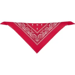 Hot Gifi Bandana motif paisley coloré 100% coton 53x53cm