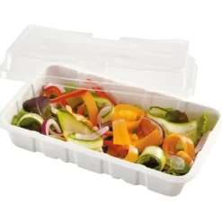 Barquette avec couvercle jetable x4^Gifi Outlet