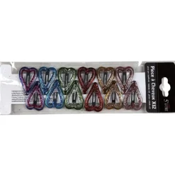 Discount Gifi Barrette pince à cheveux x12
