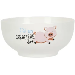 Bol humoristique en céramique^Gifi Discount