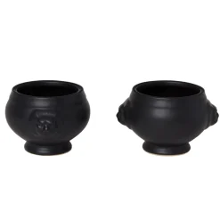 Bol tête de lion noir mat x6^Gifi New