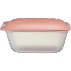 Boîte à fromage en plastique 18x12xH7,8cm^Gifi Hot