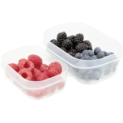 Boîte alimentaire couvercle bleu^Gifi Clearance