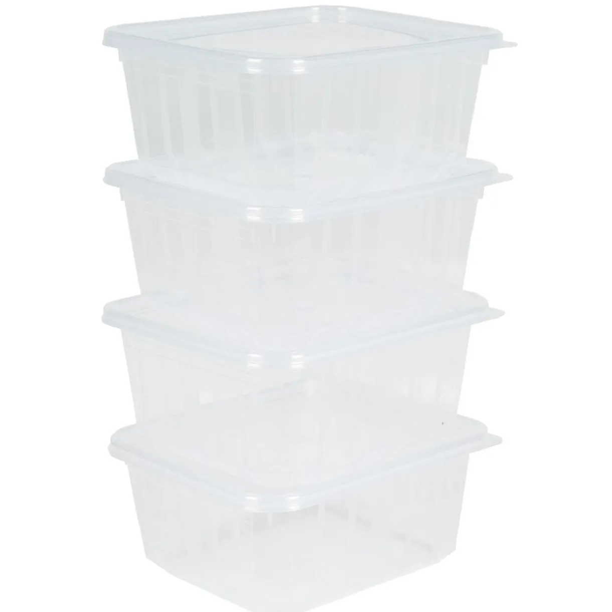 Boîte alimentaire hermétique 0,45 L x 4^Gifi New