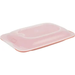 Boîte de conservation mini L18xl12xH3cm^Gifi Outlet