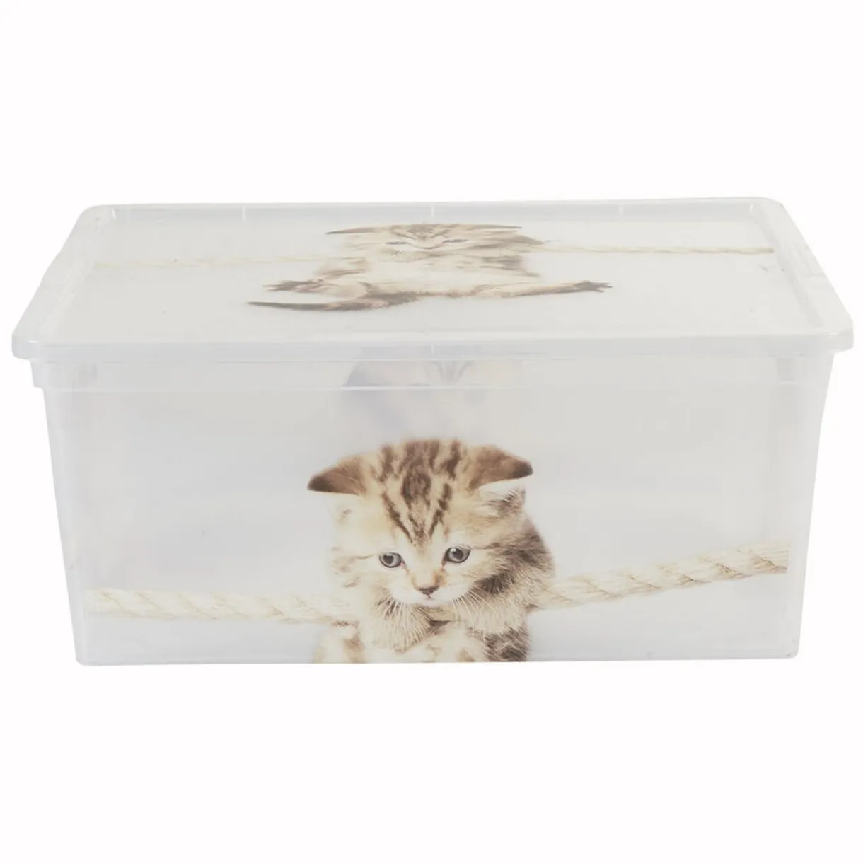 Rangement|Gifi Boîte de rangement plastique 10 L design chat ou chiots