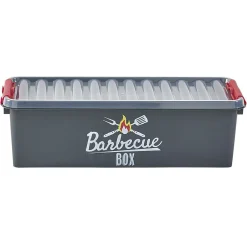 Entretien Du Linge|Gifi Boîte de rangement plastique pour barbecue grise et rouge
