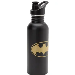 Bouteille Batman en métal^Gifi Discount