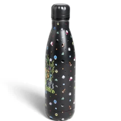 Bouteille isotherme Disney Villains inox 500ml - 4 modèles^Gifi Hot