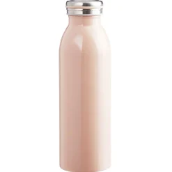 Bouteille isotherme inox uni 500 ml^Gifi Outlet