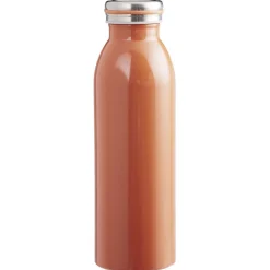 Bouteille isotherme inox uni 500 ml^Gifi Outlet