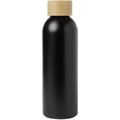 Bouteille isotherme inox double paroi 50cl Ø7,3xH23,5cm^Gifi Sale