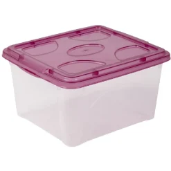 Rangement|Gifi Box de rangement 2 L transparent et violet