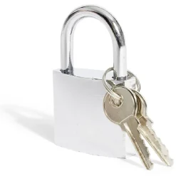 Online Gifi Cadenas en acier gris chromé de 38 mm - 2 clés