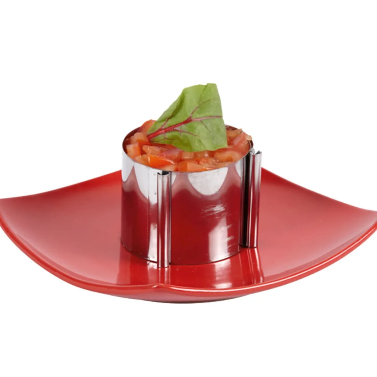 Cercle de présentation ajustable x2^Gifi Clearance