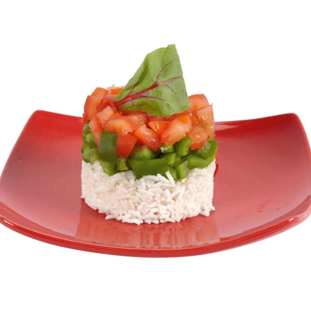 Cercle de présentation ajustable x2^Gifi Clearance