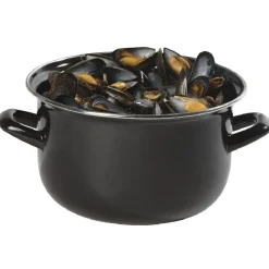 Cocotte spécial moules^Gifi New