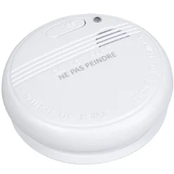 Sale Gifi Détecteur de fumée NF