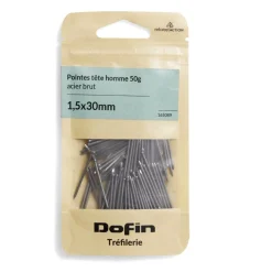 Discount Gifi 50g pointes tête homme acier brut - 1,5x30 mm