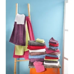 Online Gifi Gant de toilette x2 marron