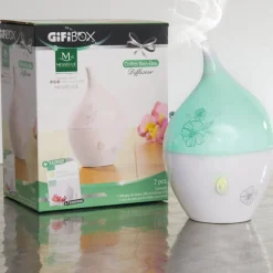 Outlet Gifi box Diffuseur huiles essentielles Mességué