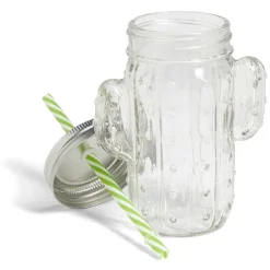 Gobelet 460ml forme cactus avec paille verre transparent^Gifi Hot