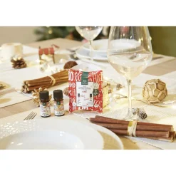 Online Gifi Huile Duo de Synergies de Magie de Noël BIO Mességué x2