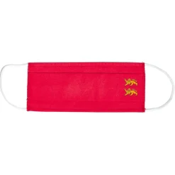 Sale Gifi Masque tissu imprimé drapeau Normandie Basque Lavable Catégorie 1