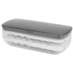 Moule à glaçons pelle incluse 28x12xH9cm^Gifi Online