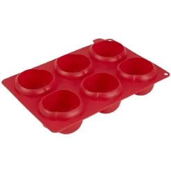 Moule silicone rouge 6 minis roses 3D^Gifi New