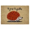 Nettoyage Et Entretien|Gifi Paillasson coco rectangulaire hérisson tu peux te gratter