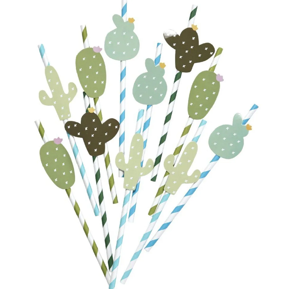 Paille cactus x20^Gifi Sale