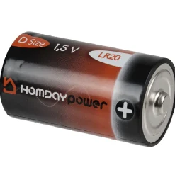 Online Gifi Pile Alcaline Homday Power LR20 x2