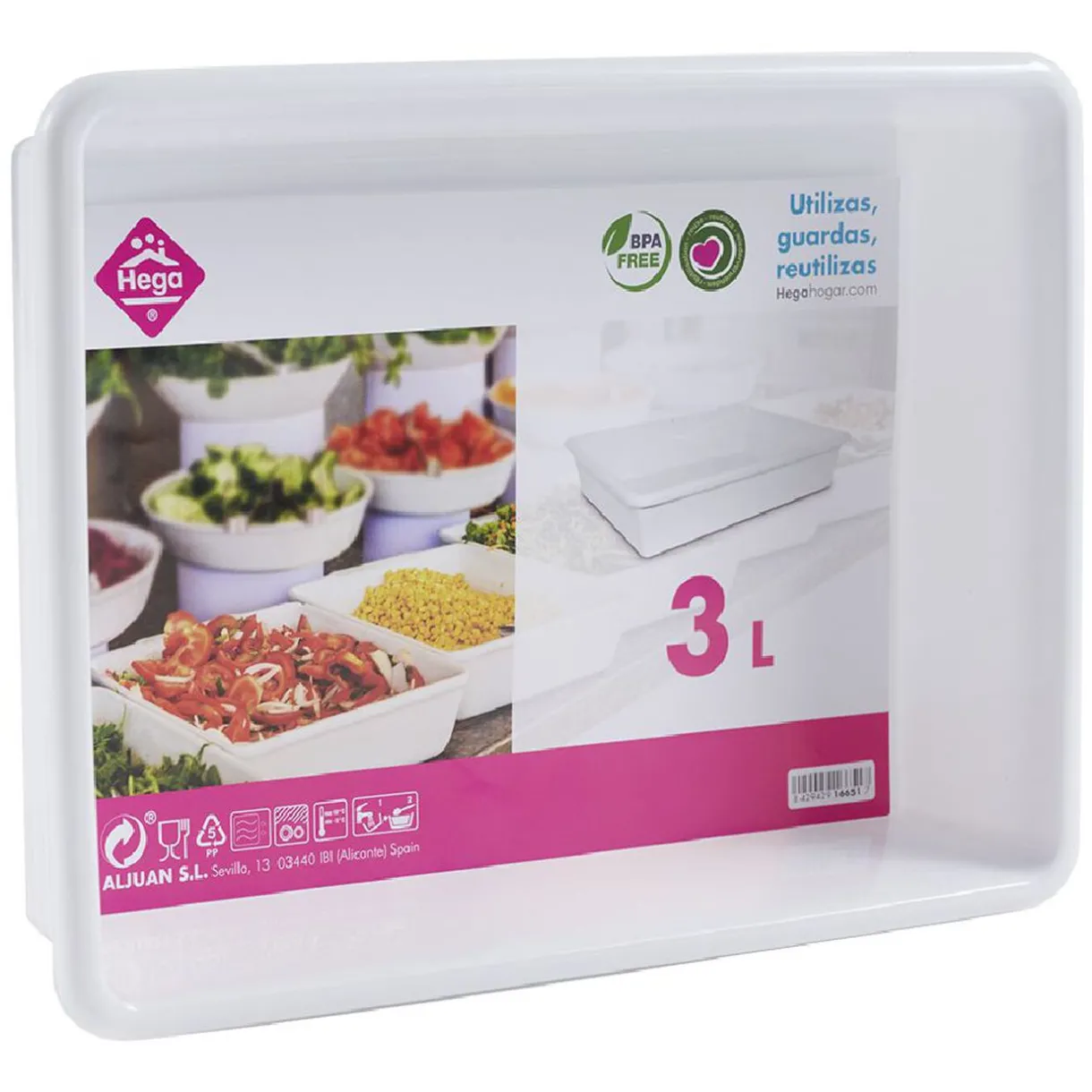 Plateau rectangulaire plastique blanc 3L^Gifi New