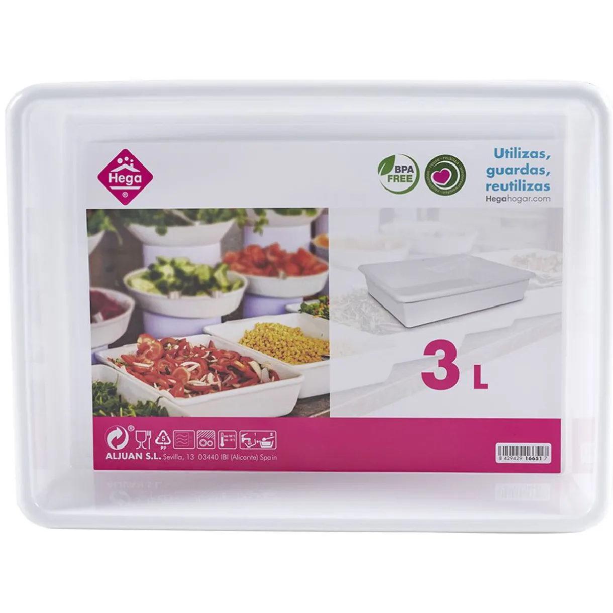 Plateau rectangulaire plastique blanc 3L^Gifi New