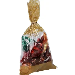 Sachet en plastique x10^Gifi Clearance