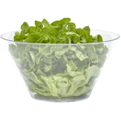 Saladier en plastique transparent^Gifi Online
