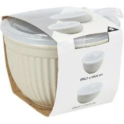 Saladier faïence x 2 avec couvercle plastique^Gifi Hot