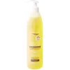 Clearance Gifi Shampooing kératine Byphasse sublim'protect 520 ml cheveux secs