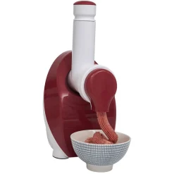 Sorbetière pour fruits surgelés^Gifi Discount