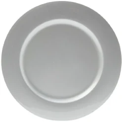 Sous assiette en plastique argenté^Gifi Clearance