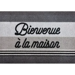 Nettoyage Et Entretien|Gifi Tapis d'entrée anti-poussières 60x40cm